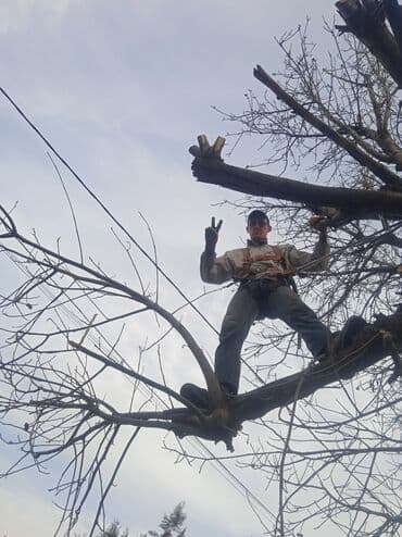 разнорабочий керек: Спил дерева любой сложностипилщик#1по городу и в регионах. Колим — 4