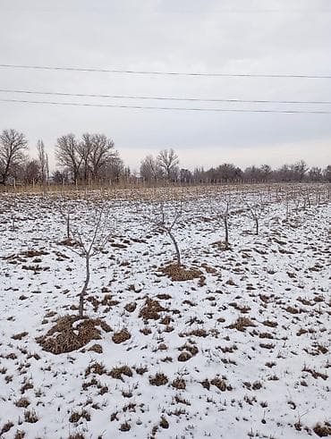 с комсомольское: 1500 соток, Для бизнеса, Красная книга, Договор купли-продажи — 6