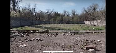 11 соток, Для бизнеса — 1