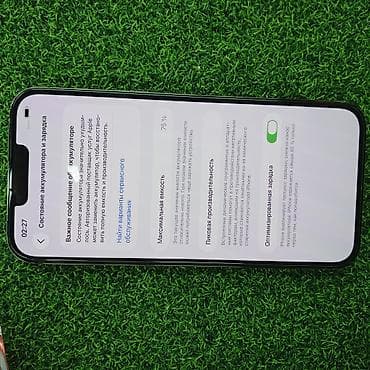 aoc c27g1: IPhone 13 Pro Max, 256 ГБ, Alpine Green — 4
