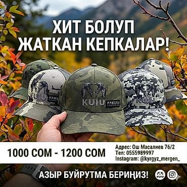 теплые вещи: Кепка, Бейсболка, Козырек: Изогнутый, С вышивкой — 1
