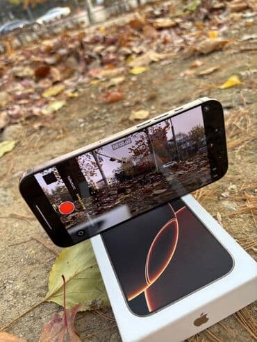 IPhone 16 Pro Max, Natural Titanium