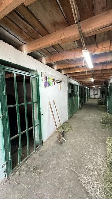 Продажа коммерческой недвижимости: Ферма КРС, 15 соток, Действующий — 5