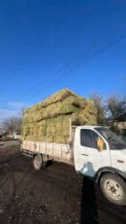 прайс лист на отделочные работы 2023 год: Таза беде доставкасы менен — 4