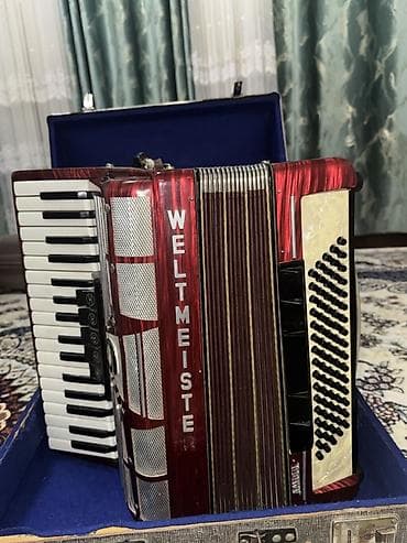 ударный инструмент: Аккордеон Weltmeister (ГДР) - Инструмент клавишно-кнопочного типа — 2