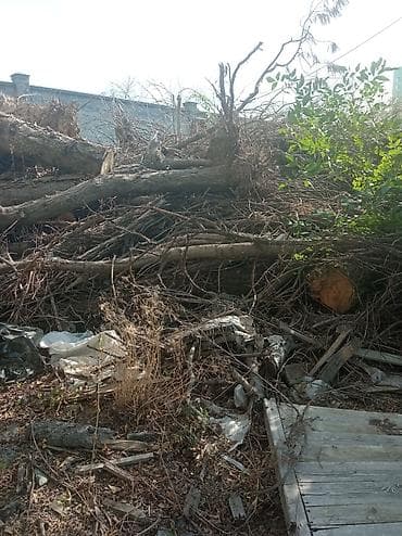 Отдам даром: Бесплатно дрова, завод ЭВМ, по улице Исакеева/Чолпон Атинка — 5