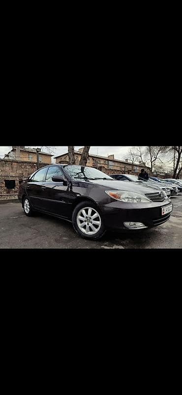 Toyota Camry: 2003 г., 2.4 л, Автомат, Бензин, Седан at lalafo.kg Toyota Camry: 2003 г., 2.4 л, Автомат, Бензин, Седан