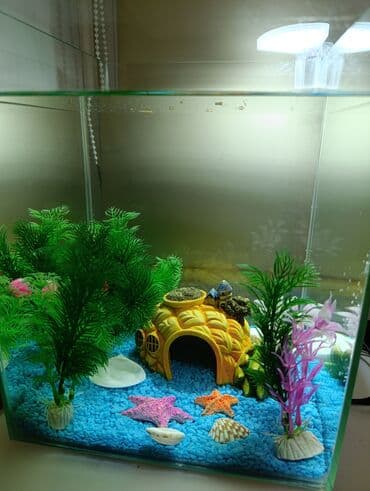 свежемороженая рыба: Аквариумный декор «Подводный городок» - Набор тематических украшений — 5