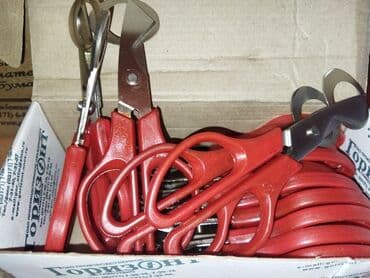 яйцо перепелиные: Ножницы для перепилиных яиц. Производство Россия, не Китай!!! Оптом от — 2