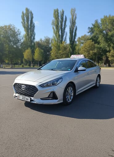 вождение фуры для начинающих: Курсы вождения | (B) | Частный инструктор — 1