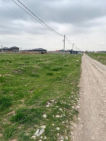 Жер тилкелери: 4 соток, Курулуш, Кызыл китеп — 1