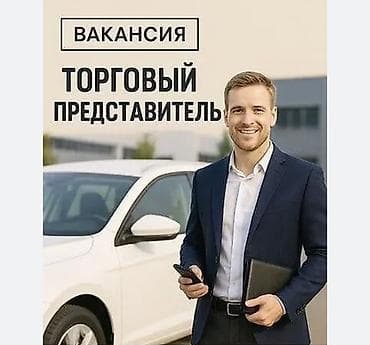Вакансия: Торговый представитель Обязанности: - Поиск и привлечение