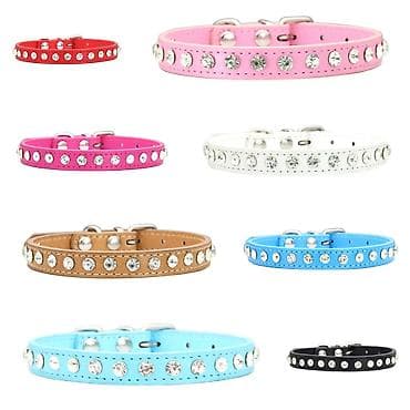 Башка жаныбарлар: ПРОДАЮ НОВЫЕ СОБАЧИЕ ЛОТКИ,А ТАК ЖЕ ШЛЕЙКИ,ПОВОДКИ/РУЛЕТКИ,АВТО — 5