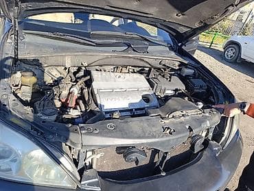 daf xf 95: Lexus RX: 2006 г., 3.3 л, Автомат, Газ, Кроссовер — 7