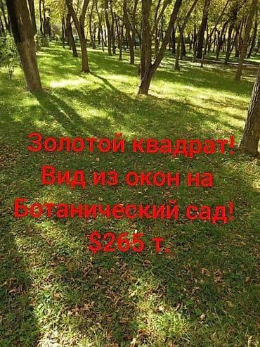 Продаю дом в центре города,золотой квадрат, проспект — 1