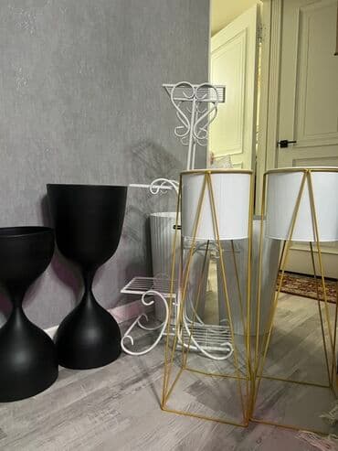 купить комнатные цветы в бишкеке: Комнатные декоративные растения в кашпо 1) Толстянка (Crassula ovata — 50