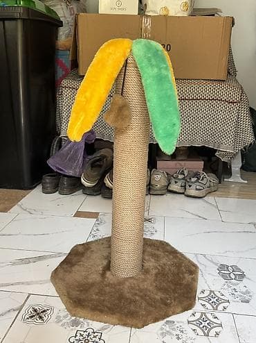 трава для кошек: Когтеточка для кошек “Пальма” 🌴🐱 Продается когтеточка в хорошем — 1