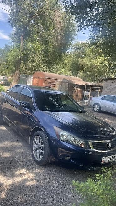 галоген: Honda Accord: 2008 г., 2.4 л, Автомат, Бензин, Седан — 2
