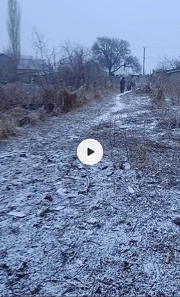 Жер тилкелери: 8 соток, Айыл чарба үчүн, Кызыл китеп — 1