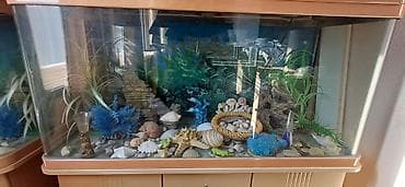 Аквариум с тумбой и оформлением - Прямоугольный аквариум из стекла, с — 1