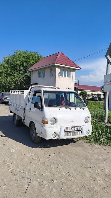 Легкий грузовик, Hyundai, Дубль