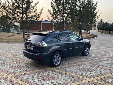 fj cruser: Lexus RX: 2004 г., 3.3 л, Автомат, Бензин, Кроссовер — 6