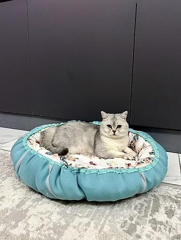Детская мебель: Продаются два лежака Мягкий круглый лежак для кошек и мелких собак - — 3