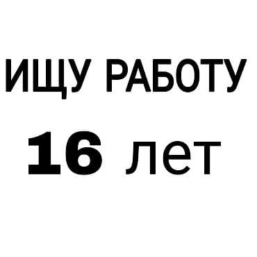 Я ищу работу, мне 16 лет. Рассмотрю все варианты