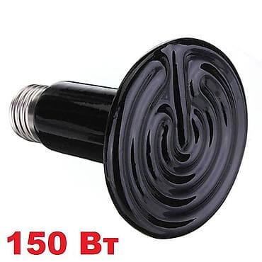 терариумы: Керамическая лампа для обогрева Вт Предназначена для обогрева — 2