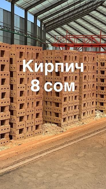 брикет цена: Пустотелый, дырчатый, Жженый кирпич, Одинарный, 250×120×65 — 1