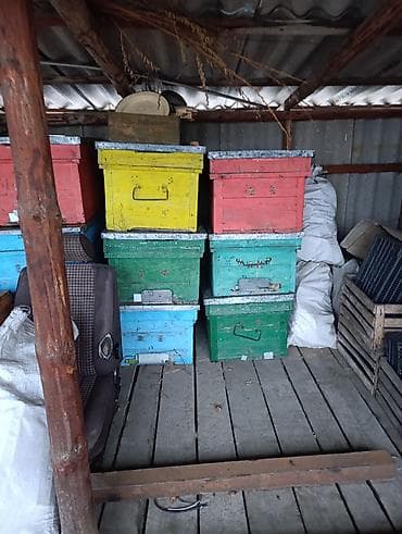 Ящики: Деревянный Ящик — 1