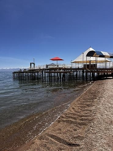 12 комнатные квартиры: Студия, Без подселения, С мебелью полностью — 9