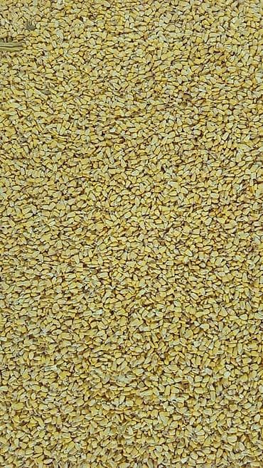 купить пшеницу: Продаю кукурузу оптом и в розницу росыпю 25 в мешках 26 сом со — 3