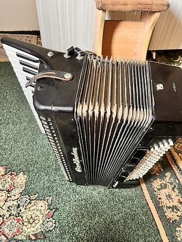 Пианино: Аккордеон Royal Standard (модель «meteor»), клавишно-кнопочный — 3