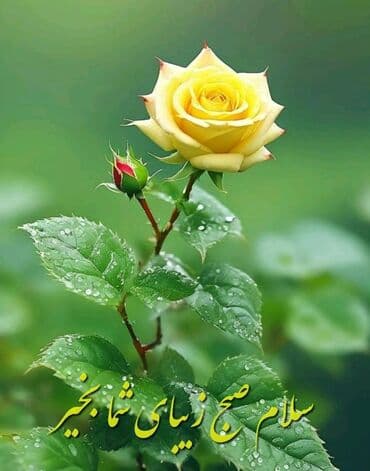 работа почасовая оплата: Требуется Горничная — 1