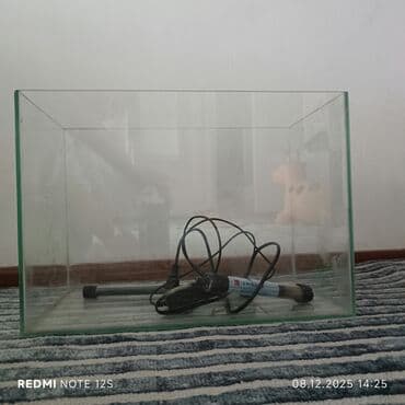 1 грамм золота цена бишкек: Продается аквариум с объемом 30 литров, есть к нему фильтр для очистки — 3