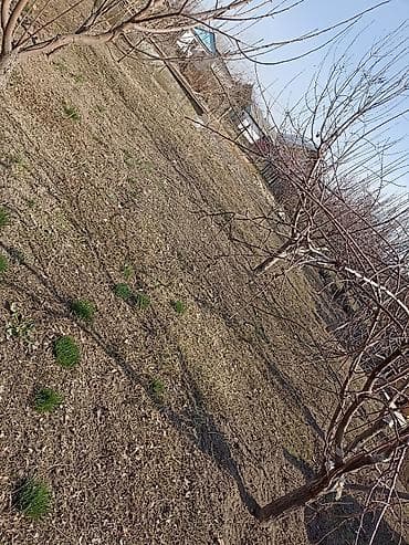 куплю дрова бишкек: Участок 4сотых Город Шопоков фундамента продаю — 1