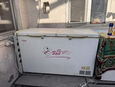 промышленная морозильная камера купить: Продаются морозилки в рабочем состоянии CHANGER BC/BD(W)-520 — 6