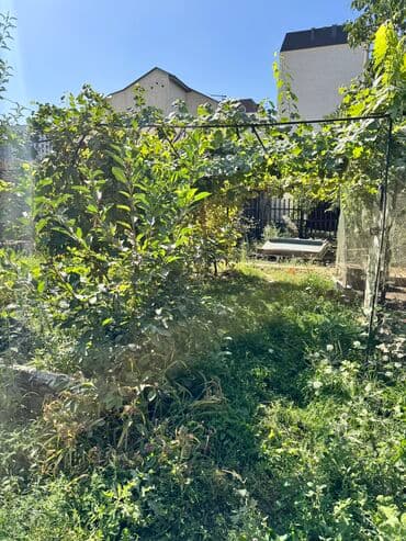 станция ивановка дом: 12 соток, Для строительства, Красная книга, Тех паспорт, Договор купли-продажи — 4