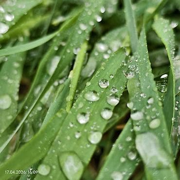 redmi 12pro: Vivo X300, Новый, 256 ГБ, цвет - Белый, 2 SIM — 4