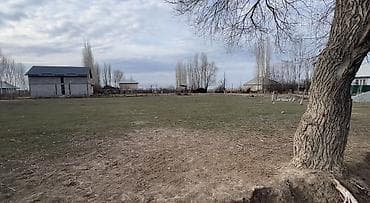 квартира бишкек 1: 6 соток, Курулуш, Кызыл китеп, Сатып алуу-сатуу келишими — 4