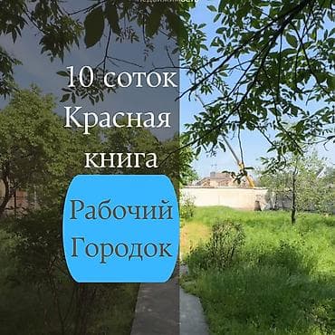10 соток, Для строительства, Договор купли-продажи, Красная книга, Тех паспорт