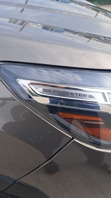 обмен с доплатой: Subaru Outback: 2020 г., 2.5 л, Вариатор, Бензиновая, Универсал — 7