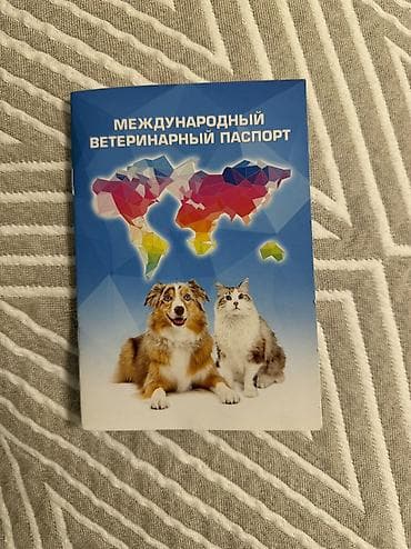 собака той пудель: Амстафф, 1 год, Самка, С прививкой, С родословной — 5