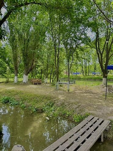 скамейки из дерева: @Fazenda.Resort + Зона отдыха у пруда в тени деревьев - Локация на — 3