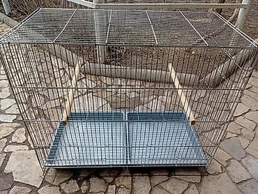 кекилик алам: Сетка для птиц попугай амадин 2500 70/60/36 — 3