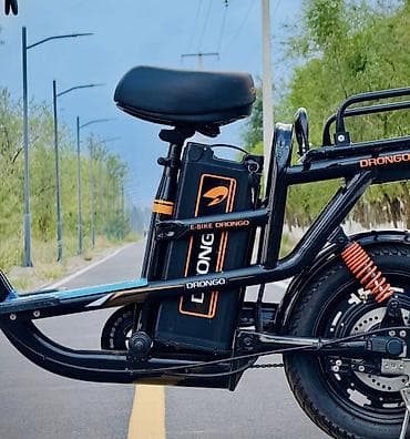 зо: Съёмная аккумуляторная батарея DRONGO для электровелосипеда - Тип — 1