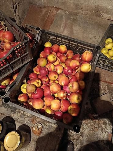 Замороженные овощи: Яблоки — 2