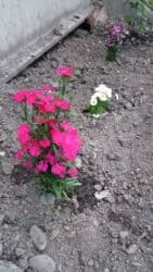 работа бишкек разнарабочий: Персонал боюнча менеджер — 1