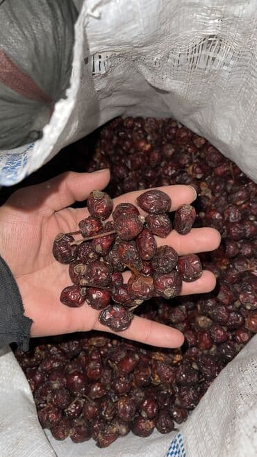 цветы не живые: Продаю шиповник оптом Чистый Хороший сорт Сухой Есть больше 10 — 2